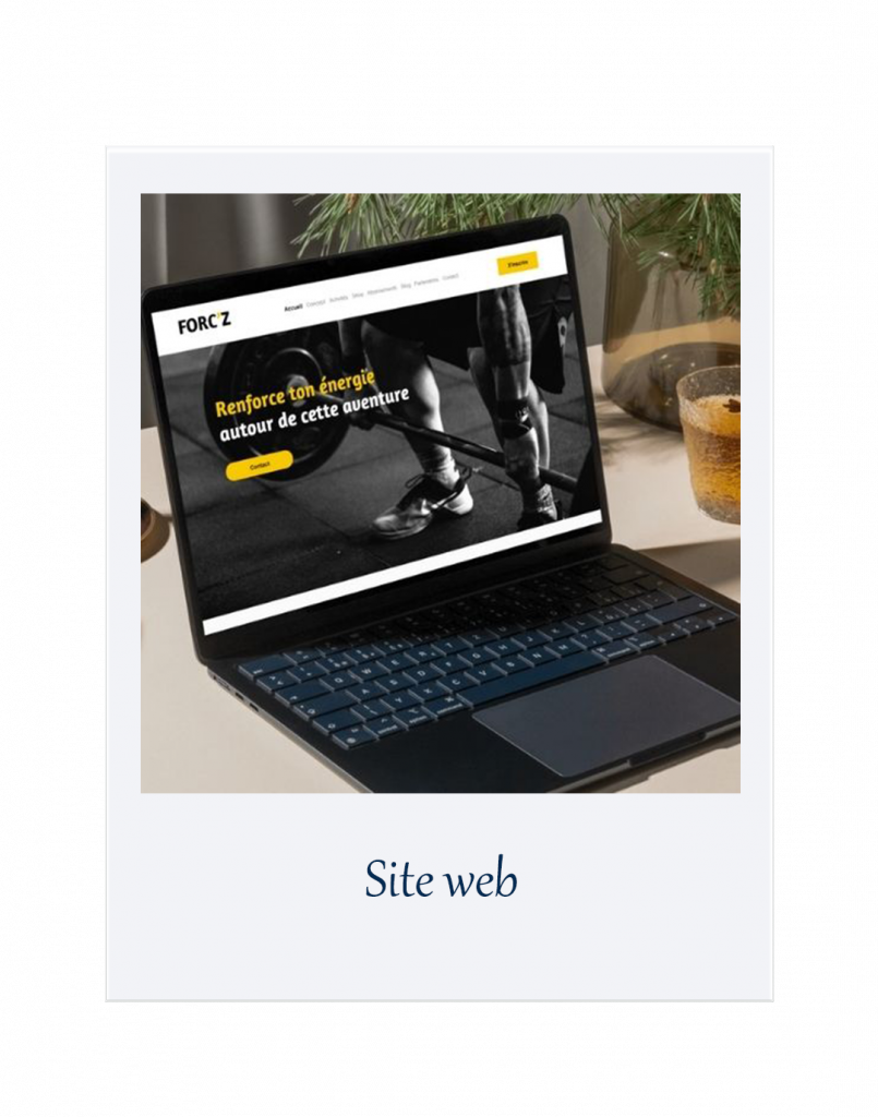 site web forciz